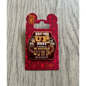 Rare Splash Mountain Disney Parks Collection Pin Brand Discontinued